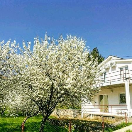 Apartments Pasha Blagaj Exterior photo
