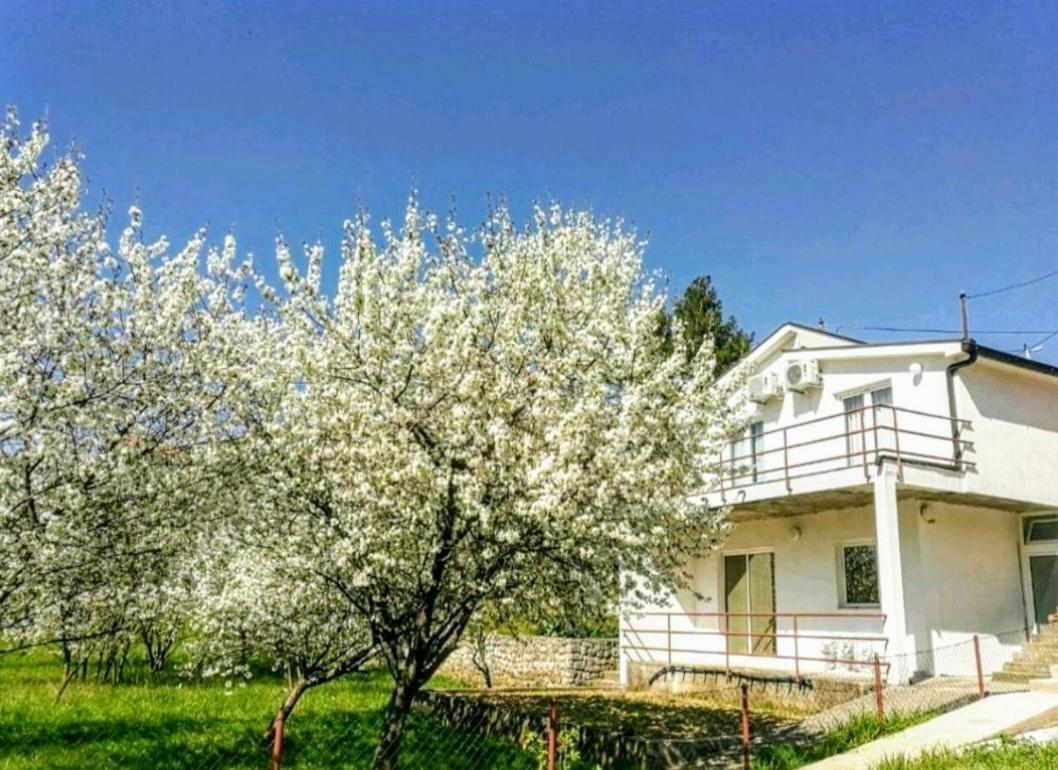 Apartments Pasha Blagaj Exterior photo